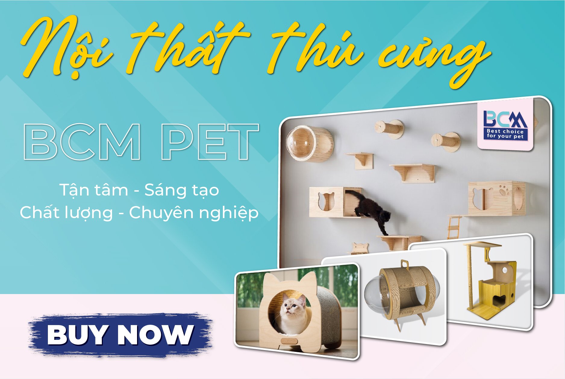 Bcm Pet Avt