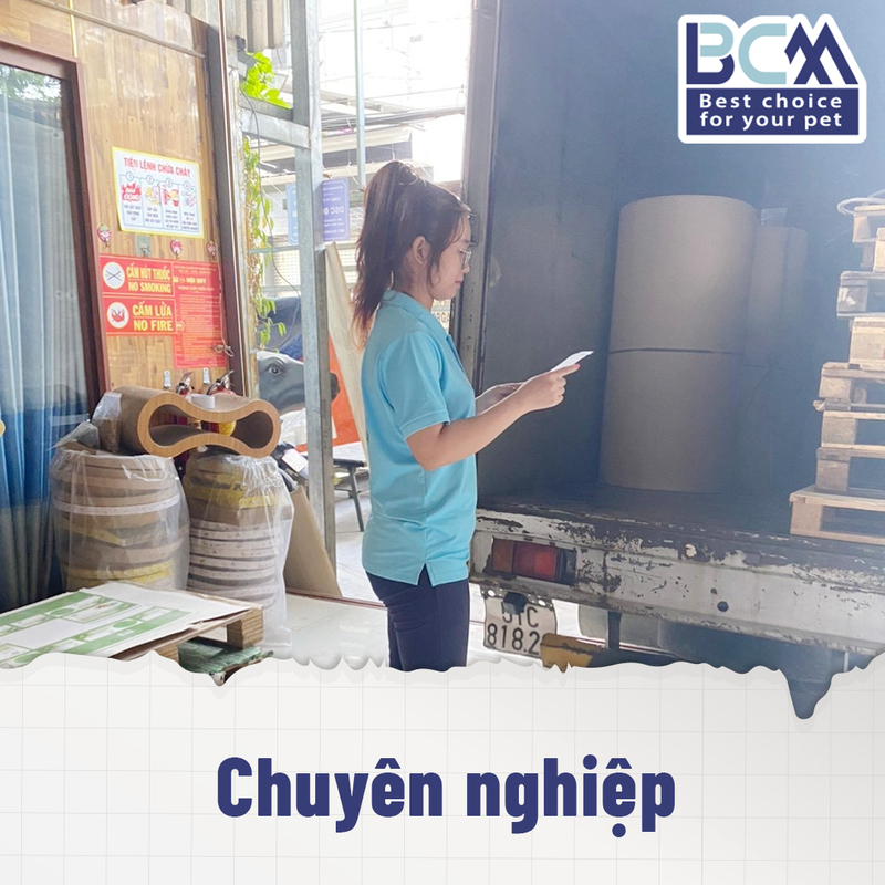 Gioi Thieu Bcm Pet 1