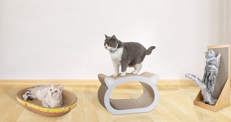 Gioi Thieu Bcm Pet 4
