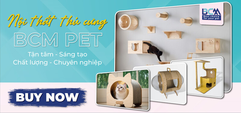 Gioi Thieu Bcm Pet